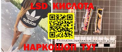 круглые Кингисепп