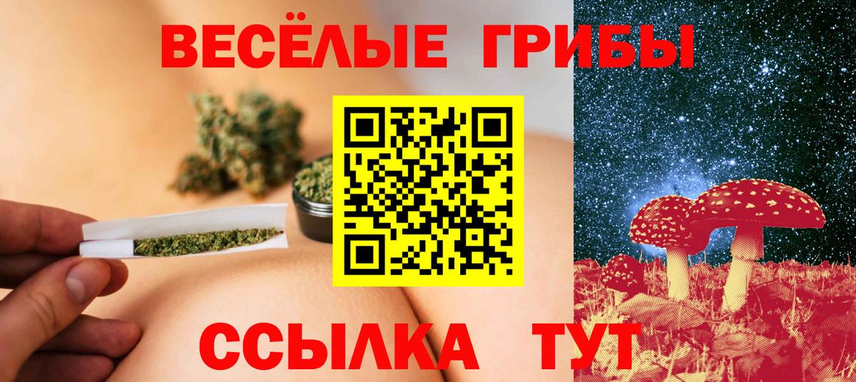 Псилоцибиновые грибы GOLDEN TEACHER Ленинск-Кузнецкий