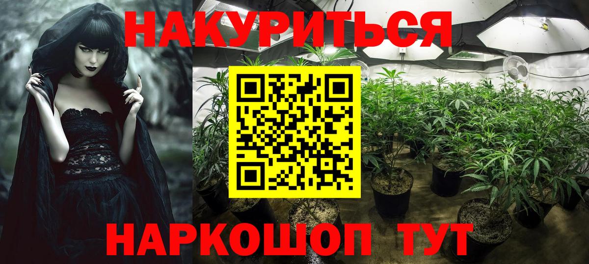 Шишки марихуана сатива Ленинск-Кузнецкий